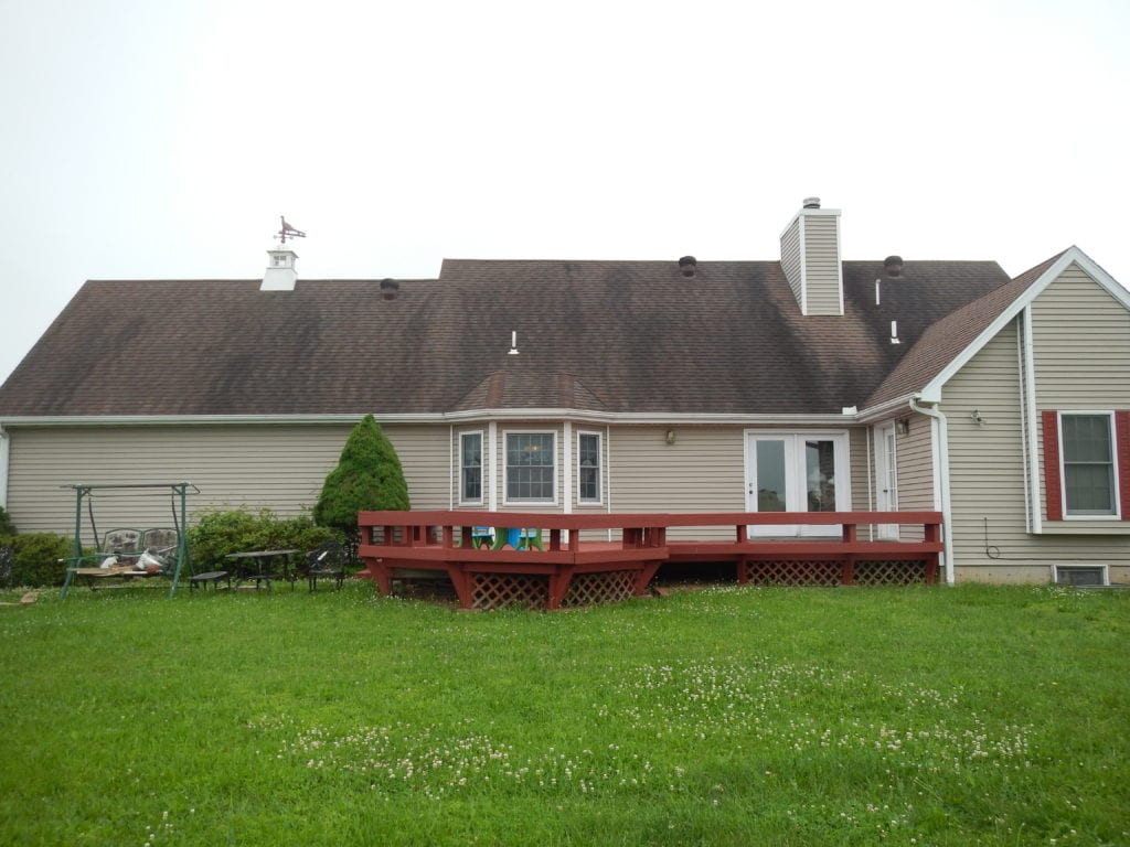 Roof Cleaning Before